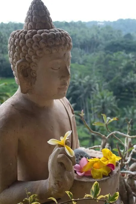 Heaven View 1 B 0*, Ubud (Bali)