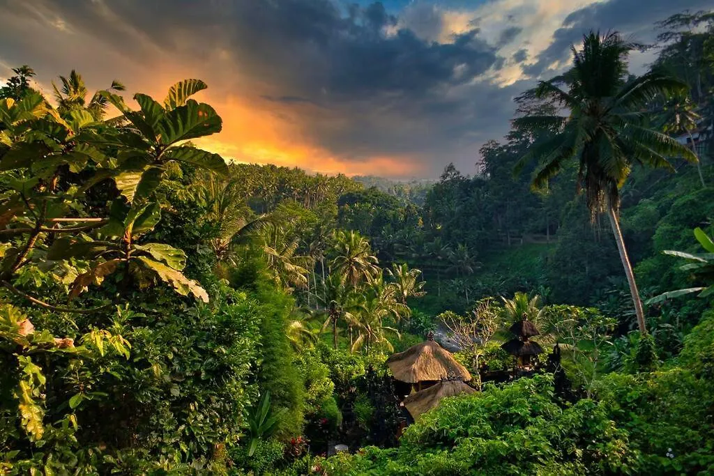 Heaven View 1 B Indonesia
